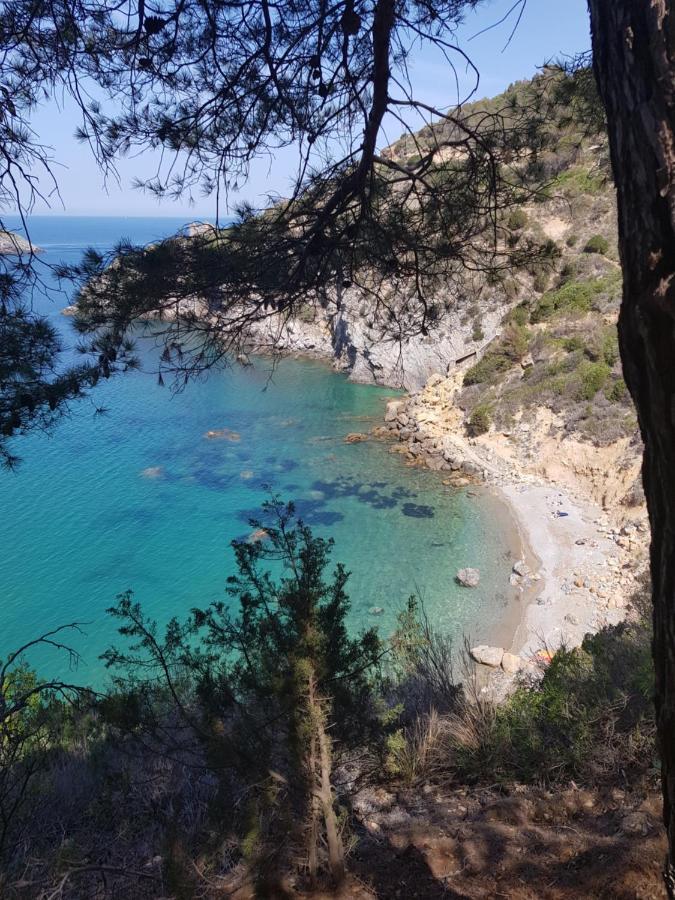 Residenza L'Ulivo Villa Alberese Bagian luar foto