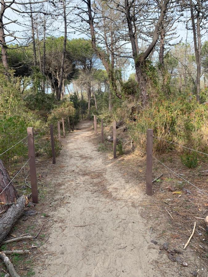 Residenza L'Ulivo Villa Alberese Bagian luar foto